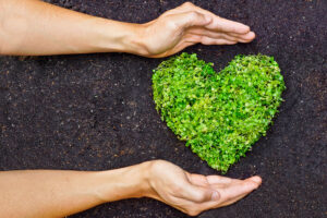 Pessoa com mãos ao redor de um coração verde de grama: responsabilidade ambiental